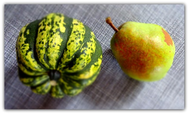 Carnival Squash and Anjou Pear