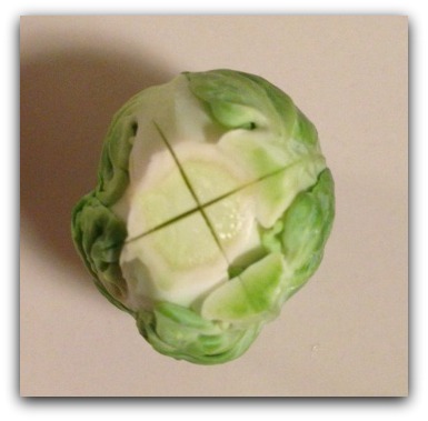 Brussels Spout with notch cut into the bottom