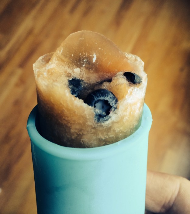 Cantaloupe and Blueberry Ice Pops
