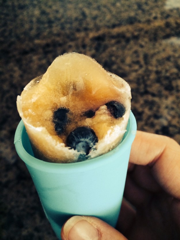 Cantaloupe and Blueberry Ice Pop Fully Frozen