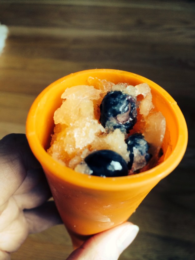 Cantaloupe and Blueberry Slush