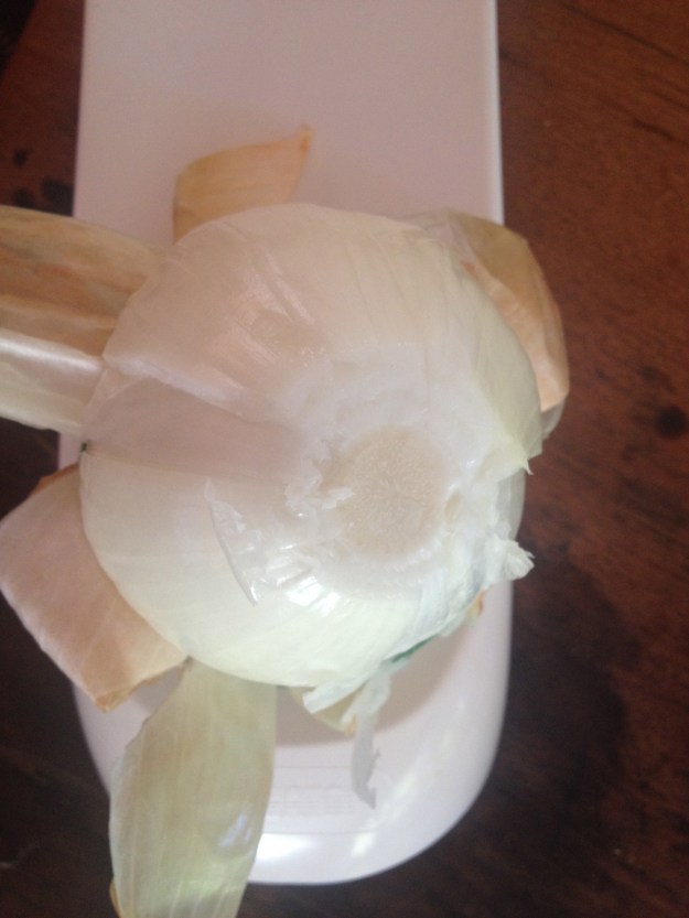 Alligator Onion Peeler