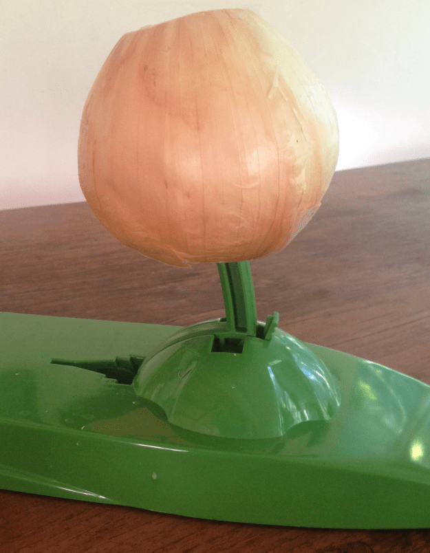 Onion, Before Peeling, Perched on the Alligator Onion Peeler